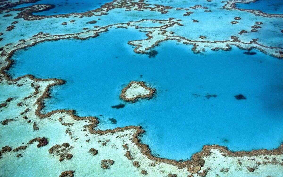 Great Barrier Reef with Cruise Whitsundays