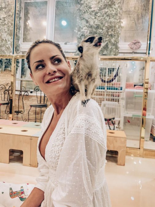Meerkat cafe in Seoul