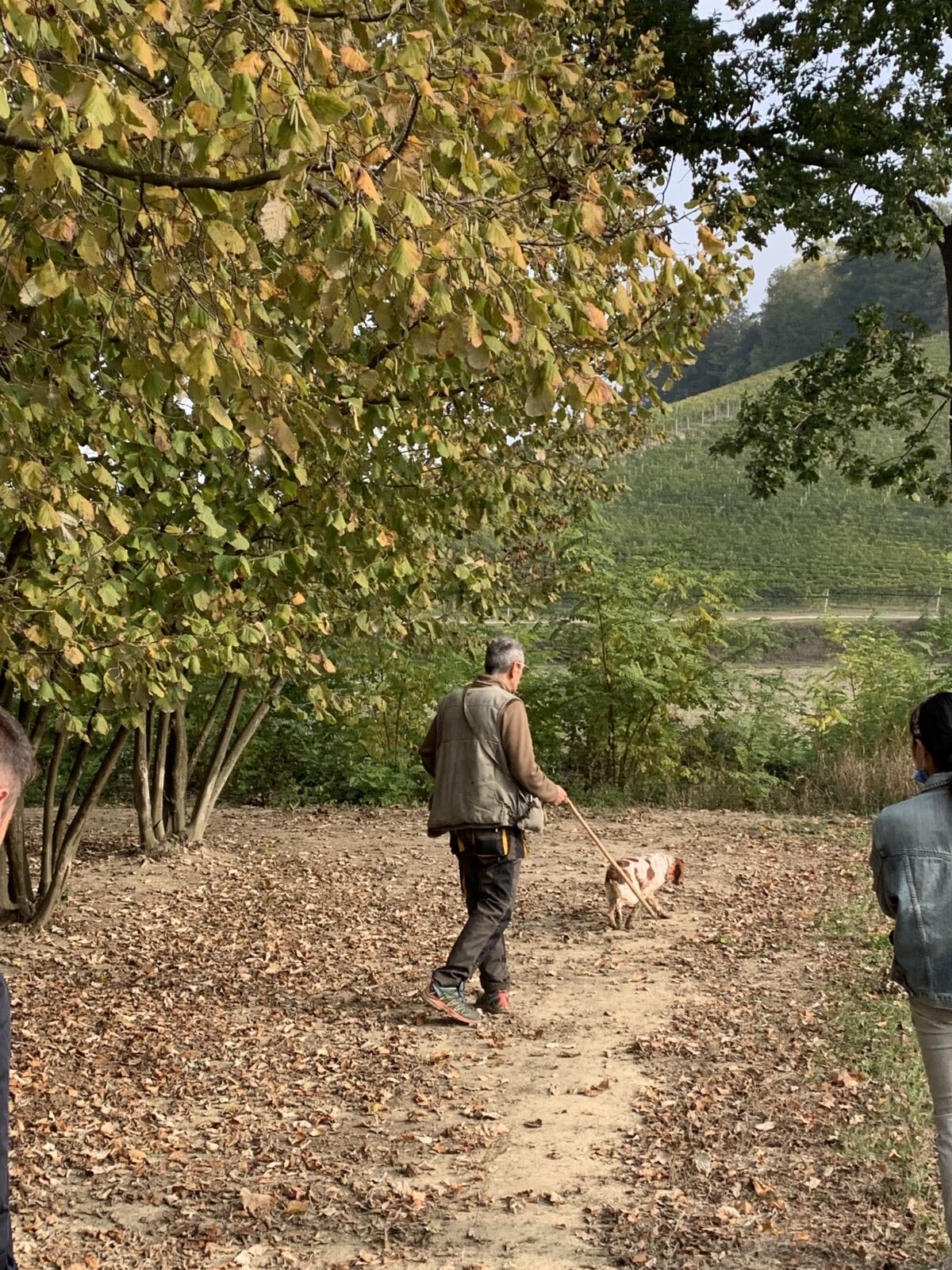 The complete guide to visiting the Alba Truffle Festival in Italy