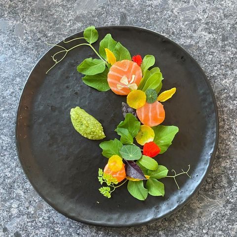 @futurechefproject I love creating these small pretty plates of food. (Yeah, I know it’s tiny, but, that’s what the boss lady wanted!)​​​​​​​​
​​​​​​​​
This was crudo salmon that I brushed with yuzu ponzu glaze. I served it with leaves & petals from the garden. ​​​​​​​​
​​​​​​​​
There is a arugula & baby kale pesto topped with a beet & caviar tuile. ​​​​​​​​
​​​​​​​​
What do you think…? ​​​​​​​​
​​​​​​​​
To tuile or not to tuile? ​​​​​​​​
​​​​​​​​
I appreciate your comments…I thought it needed a little crunch & texture. Lmk below ⬇️ ​​​​​​​​
​​​​​​​​
Thanks to @mtkiscoseafood for the salmon & @cb2 for the beautiful plates (😉please, send me more!)​​​​​​​​
.​​​​​​​​
.​​​​​​​​
.​​​​​​​​
.​​​​​​​​
.​​​​​​​​
.​​​​​​​​
@professionalchefportfolios @culinarygangstar @culinary_convenience @chef_emmanuel_vasquez @yachtchefjamietully @enrique.espinozarush @chefsexcellent @thesuperyachtchef @chefs_at_sea @futurechefproject @culinarygeniusstore​​​​​​​​
#chef #yachtchef #cheflifestyle #culinary #artofplating #galleygang #yacht #chefsplateform #foodartchefs #rollwithus #galleychef #instachef #gourmetartistry #gastroart #chefstalk #chefsofinstagram #chefstable #foodart#michelinstar #gourmetparadise #pastrychef #chefstagram #culinarylife #chefsplating #intergourmetfood #chefclub #culinarygangstas #foodstarz #chefsonboard #culinaryarts